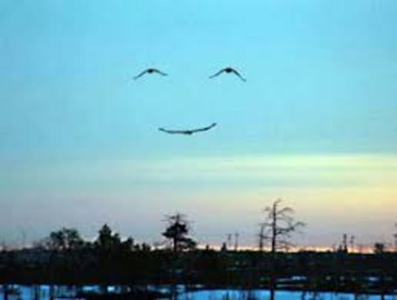 Making God Laugh