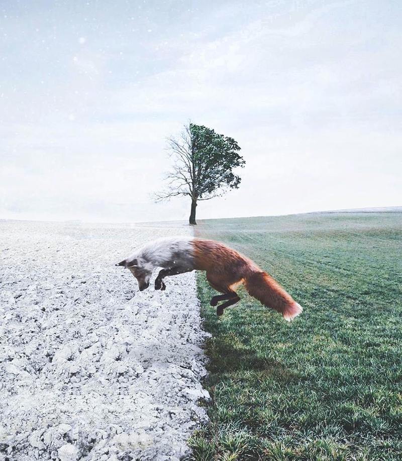 Venturing Out In Doubt