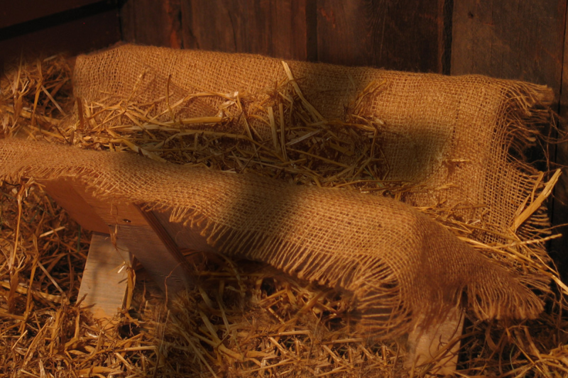 “Jesus is Born….Now What?”