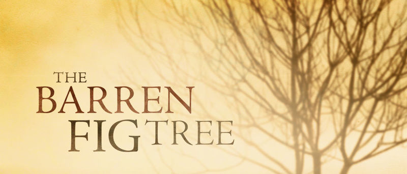 Rediscovering Who We Are: A Vulnerable Patience