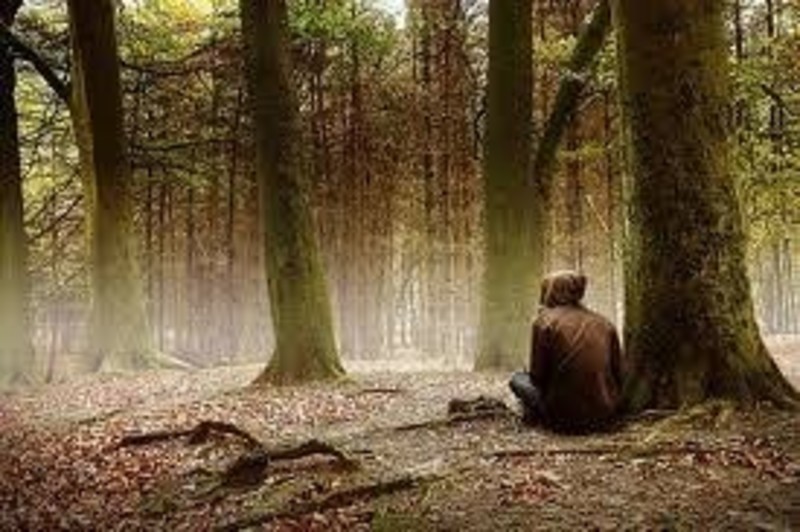 Lost in the Wilderness (1 of 4): It’s Lonely in the Dark